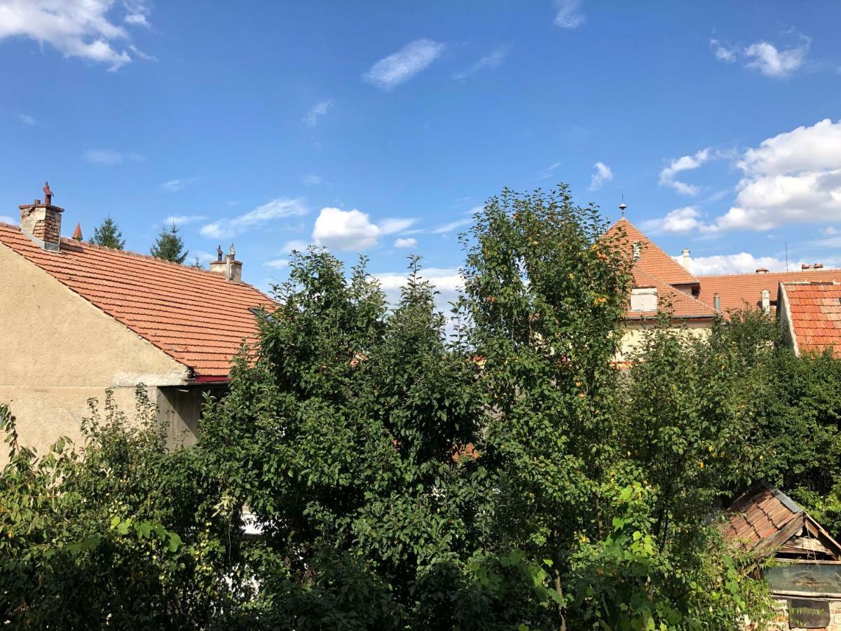 Schei Apartment 2 Braşov Exterior foto